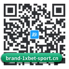Android 全机型适配版 二维码